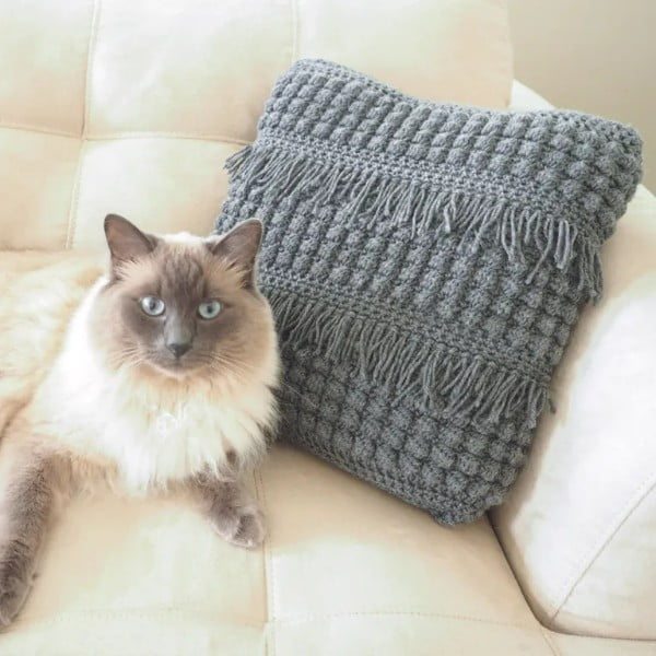 A grey crochet pillow and a cat.