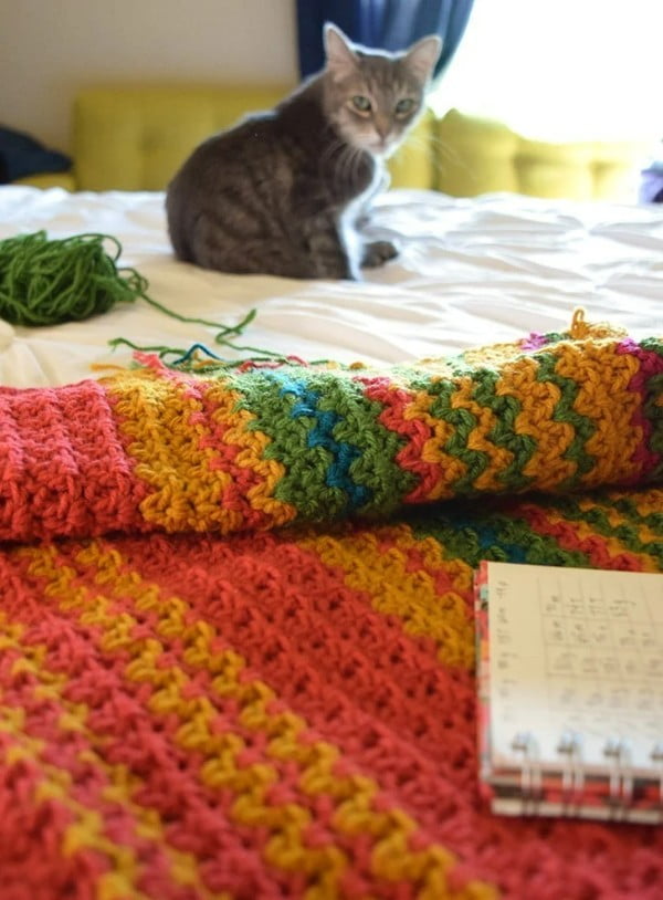 A crochet blanket with a cat in the background.