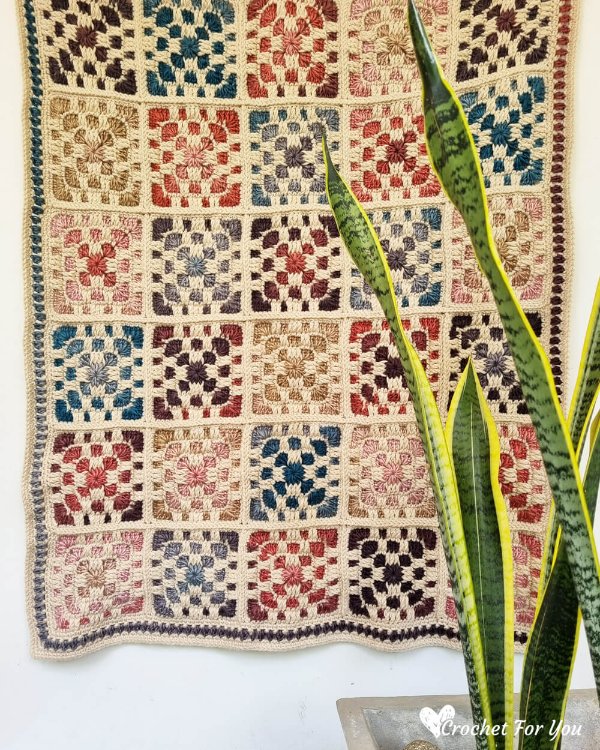 A granny square blanket against a white wall with a house plant in the foreground.