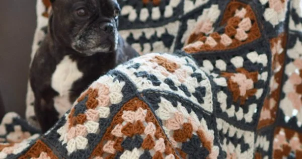 A classic granny square blanket with a dog.