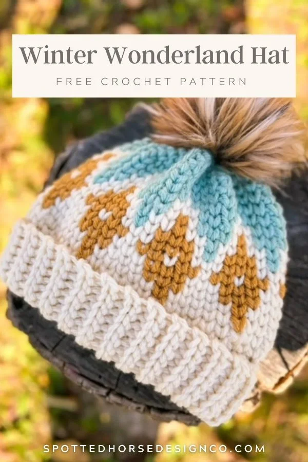 Fair Isle Crochet Beanie - free pattern + video tutorial - For The