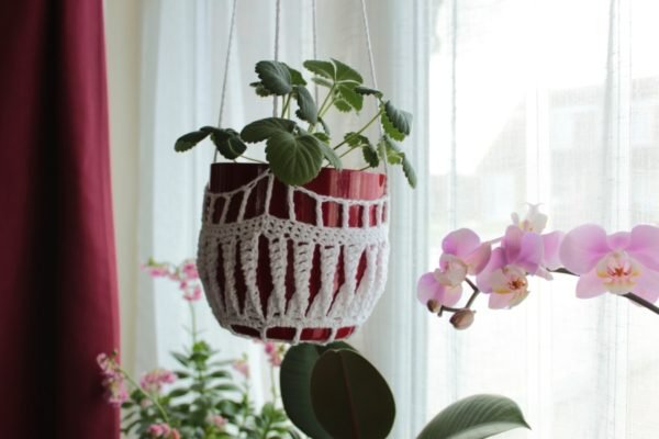 A strawberry plant in a crochet plant hanger in front of a window with orchids in the background.