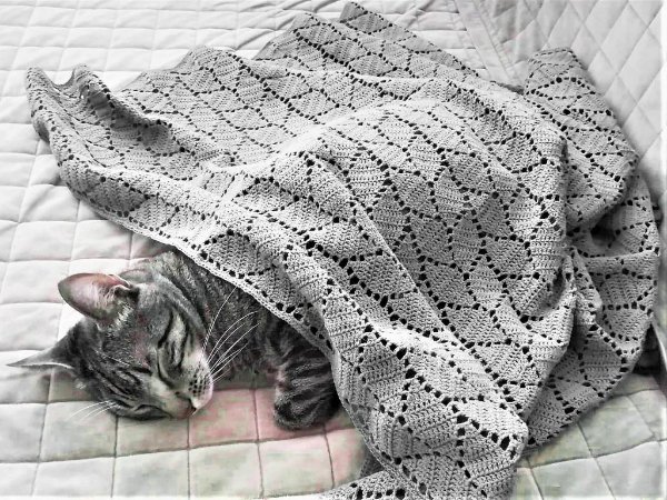 A grey filet crochet blanket draped over a sleeping cat.