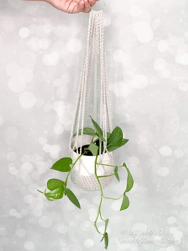 A hand holding a crochet plant hanger and a trailing pothos.