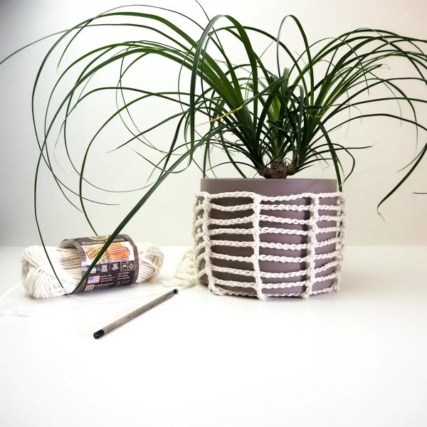 A plant in a crochet plant hanger on a white table with a crochet hook and yarn.