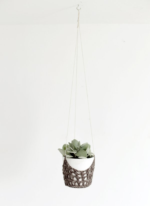 A small succulent in a brown crochet plant hanger with a white background.
