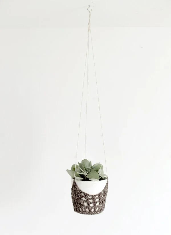 A small succulent in a brown crochet plant hanger with a white background.