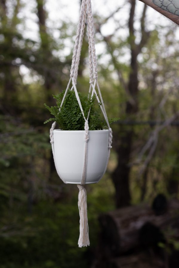 An outdoors picture of a fern in a white pot in a simple crochet plant hanger.