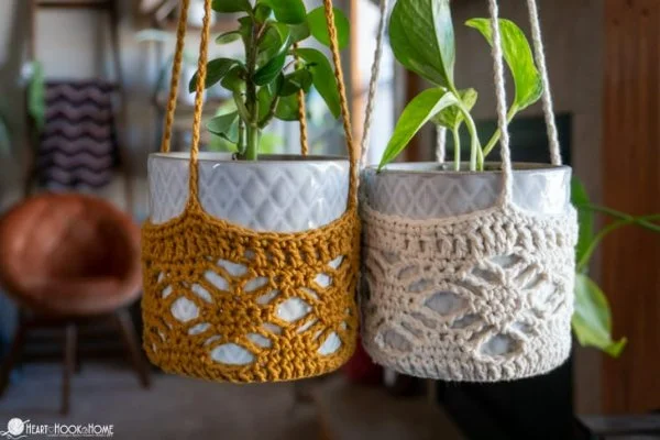 Pothos plants in two lacy crochet plant hangers.