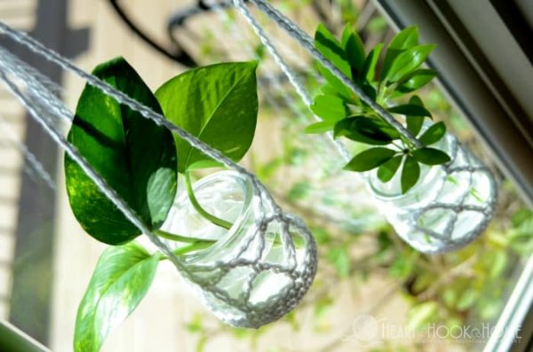 Houseplant clippings in glass jars hanging on a window in crochet plant hangers.