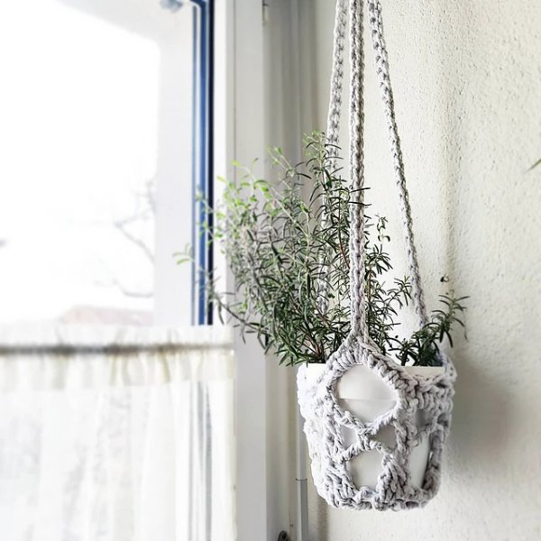 A potted rosemary bush hanging in front of a window in a crochet plant hanger.