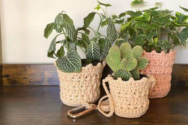 Three potted plants in crochet plant cozies on a timber dresser.