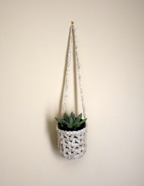 A small succulent in a crochet plant hanger.