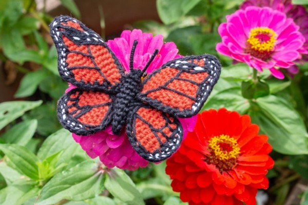 A realistic crochet monarch butterfly.