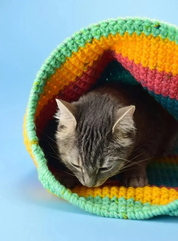 A tsbbly cat sleeping in a brightly coloured crochet cat sack.