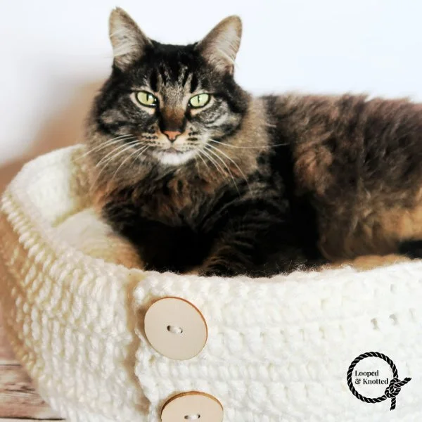 A cat laying in a crochet cat bed with buttons.