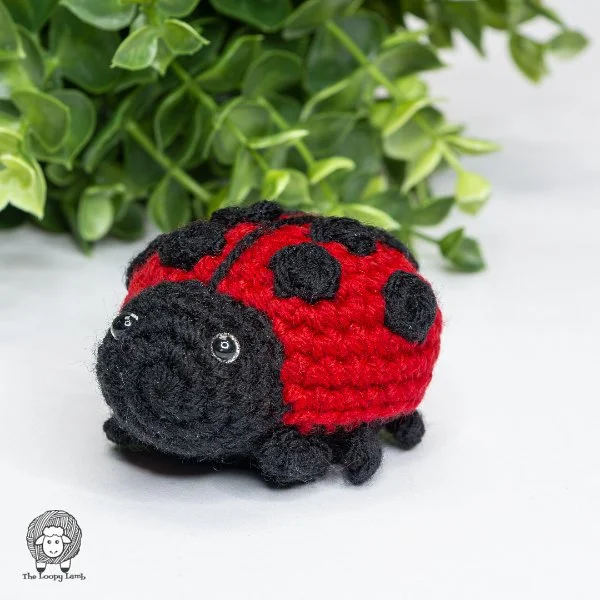 A crochet ladybug with a plant in the background.