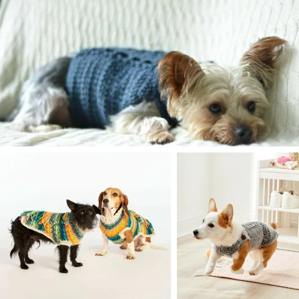 30 Best Crochet Dog Sweaters: All Free Patterns