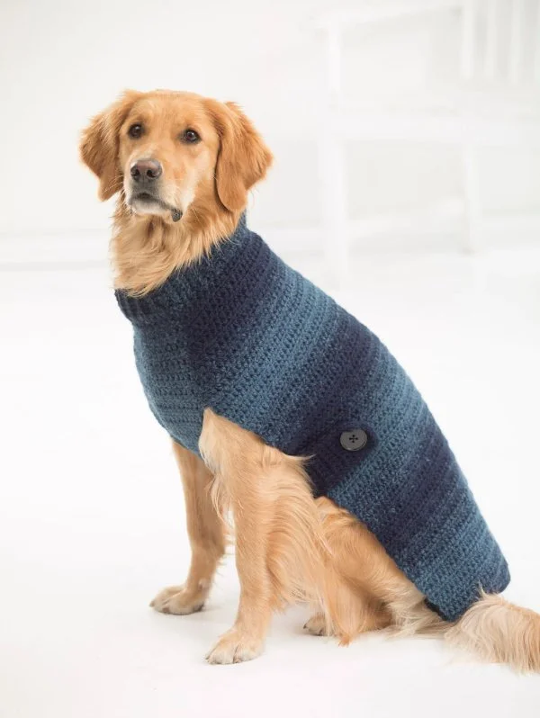 30 Best Crochet Dog Sweaters: All Free Patterns