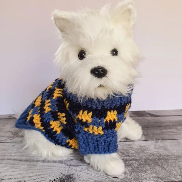 A mini yorkie weating a checkered crochet dog sweater 