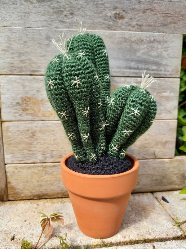 A crochet cactus with embroidered spikes.
