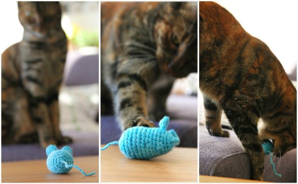 Aseries of images of a tabby cat playing with a blue crochet mouse.