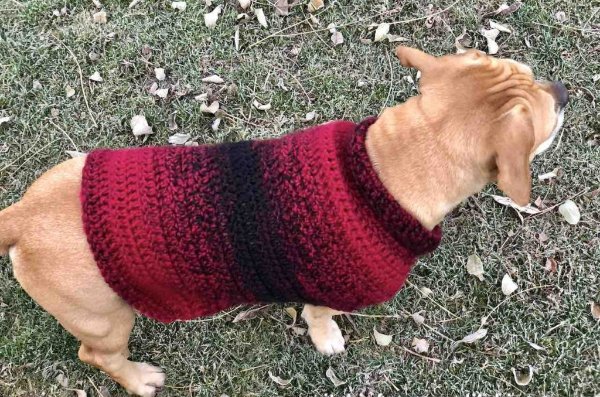 Red crochet dog jumper.