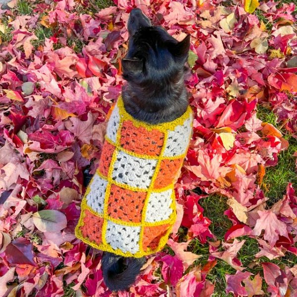 A granny square patchwork dog sweater.