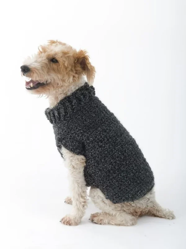 27 Free Crochet Dog Sweater Patterns - Sarah Maker