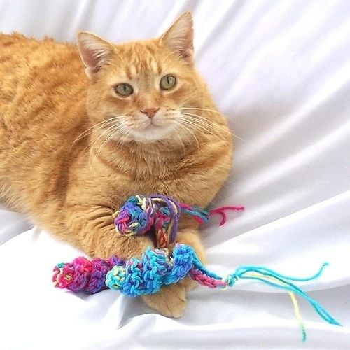 Aginger cat playing with colourful crochet cat toys.