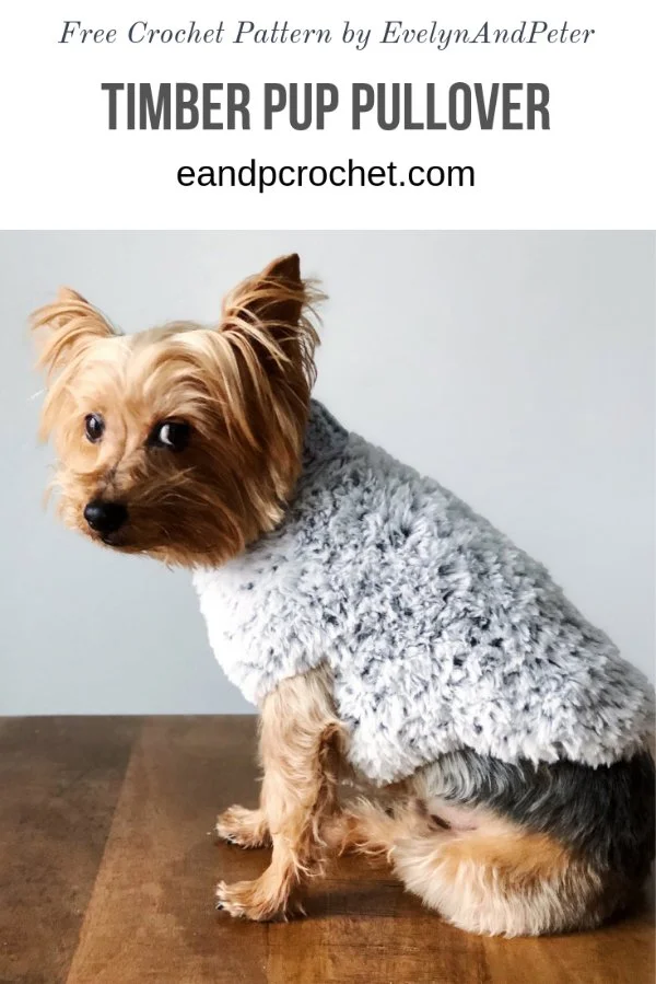 A small dog in a faux fur crochet sweater.