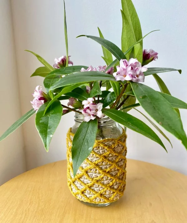 A glass jar vase with a crochet cover.