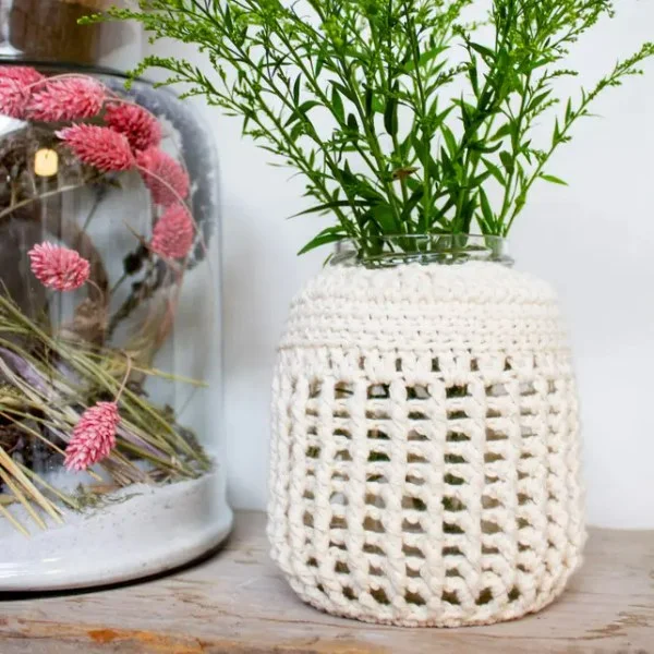A crochet jar cover for a plant.