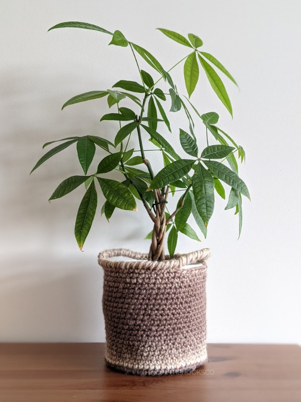 A crochet platn basket with handles.