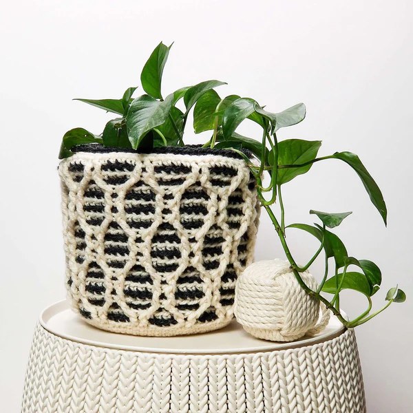 A plant in a crochet basket worked in cable stitches.