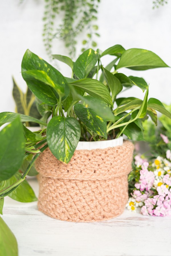 A crochet plant basket with a folded ege.