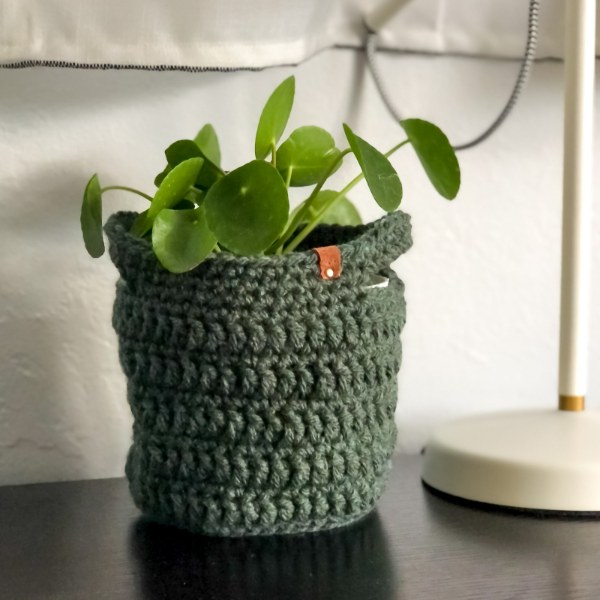 A money plant in a green crochet plant pot with handles.