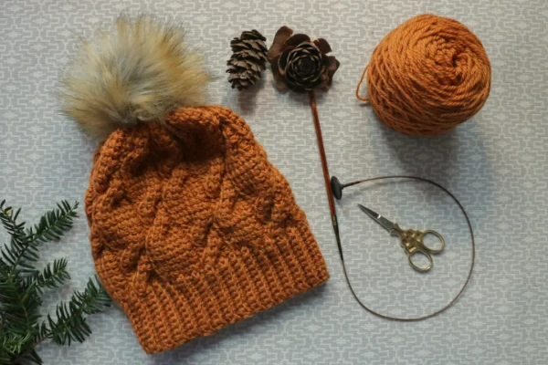 A Tunisian cable stitch beanie.