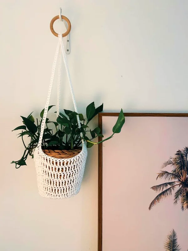 Small crochet plant hanger.